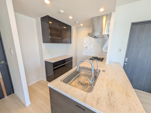 対面式のシステムキッチンはディスポーザー・浄水器付きです（＾＾♪ (キッチン)